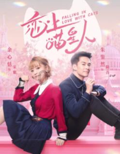 《要久久爱》:一张遗愿清单,暴露丁也10年不写作的原因,瀛子被骗了