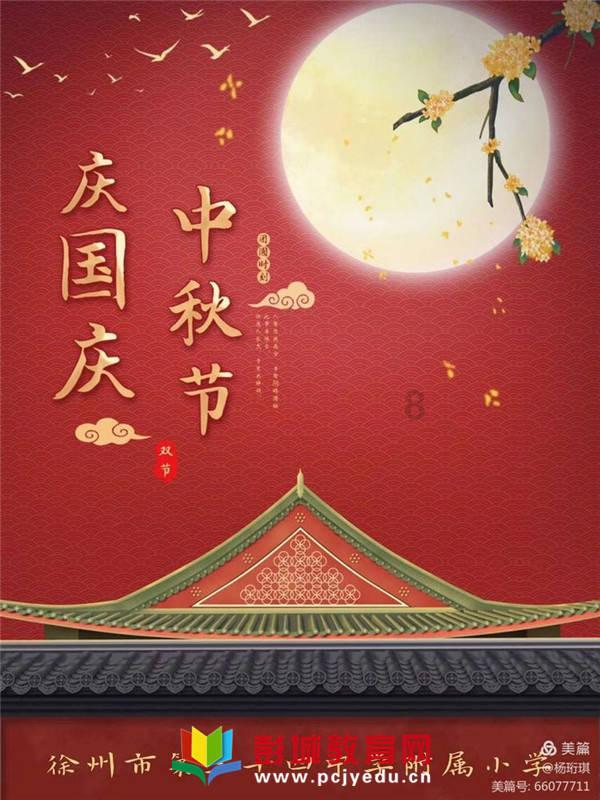 拯救受伤的猫