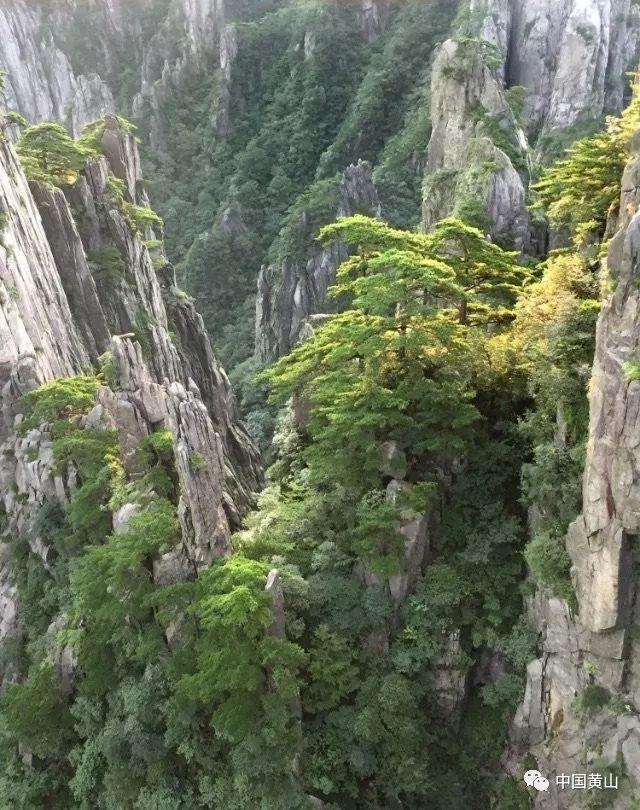 无双大蛇3