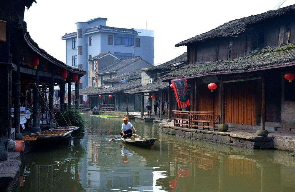 饿狮救援