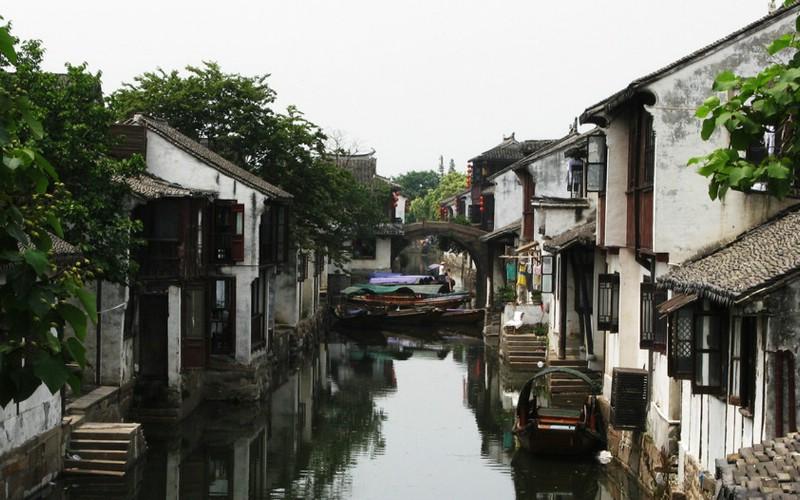 小僵尸射飞鸟