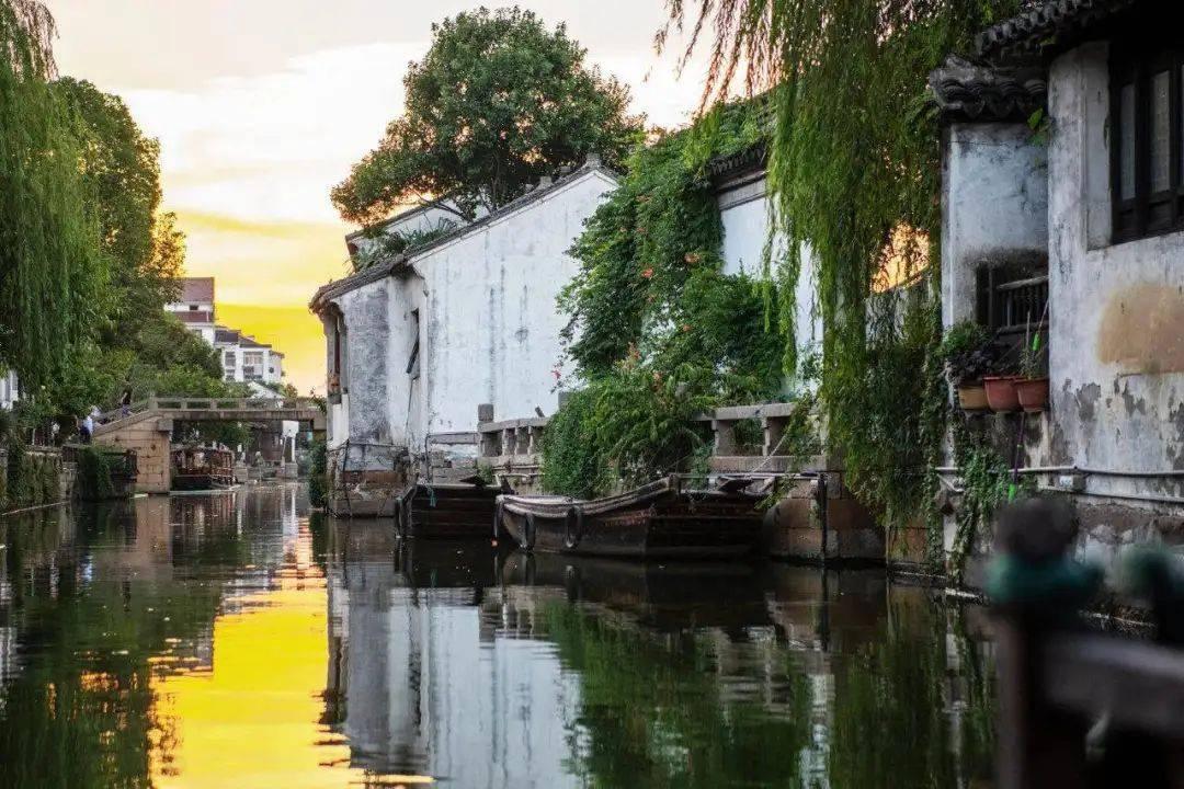 哈尔滨巨龙冰雕被掰断牙齿，曾获比赛金奖，景区回应不会追责格局大